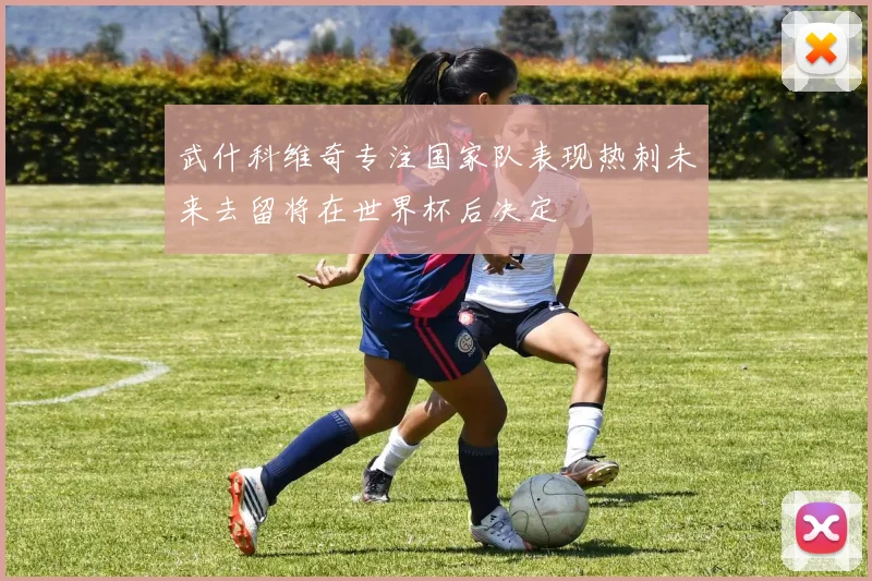 武什科维奇专注国家队表现热刺未来去留将在世界杯后决定